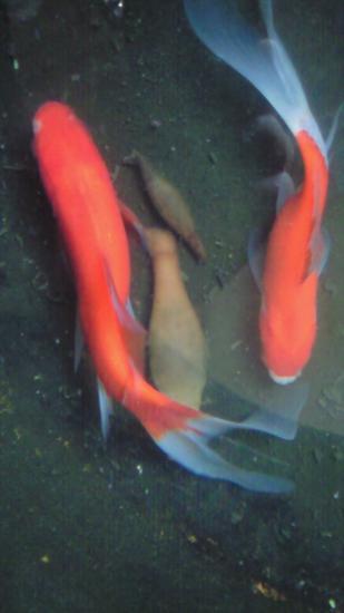 201002051610000