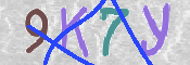 キャプチャ画像