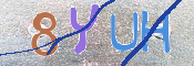 キャプチャ画像