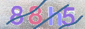 キャプチャ画像