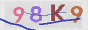 キャプチャ画像