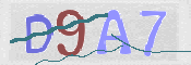 キャプチャ画像