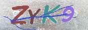 キャプチャ画像