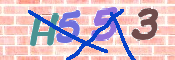 キャプチャ画像