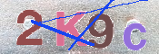 キャプチャ画像