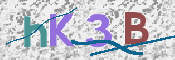 キャプチャ画像