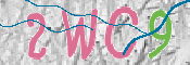 キャプチャ画像