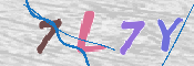 キャプチャ画像