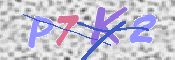キャプチャ画像