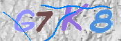 キャプチャ画像