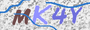 キャプチャ画像