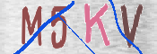 キャプチャ画像