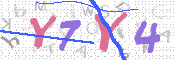キャプチャ画像