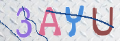 キャプチャ画像