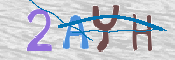 キャプチャ画像