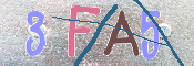キャプチャ画像