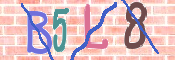 キャプチャ画像