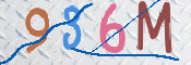 キャプチャ画像