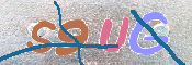 キャプチャ画像