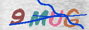 キャプチャ画像