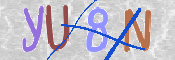 キャプチャ画像