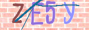 キャプチャ画像