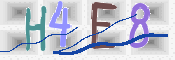 キャプチャ画像