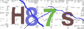 キャプチャ画像