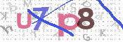 キャプチャ画像