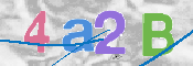 キャプチャ画像