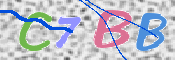 キャプチャ画像