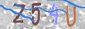 キャプチャ画像