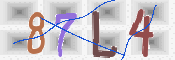 キャプチャ画像