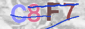 キャプチャ画像