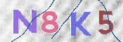 キャプチャ画像