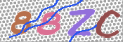 キャプチャ画像