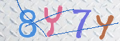キャプチャ画像