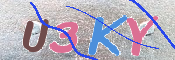 キャプチャ画像