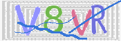 キャプチャ画像