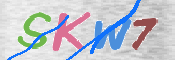 キャプチャ画像