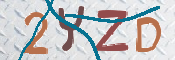 キャプチャ画像