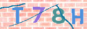 キャプチャ画像