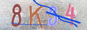 キャプチャ画像