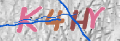 キャプチャ画像