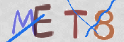 キャプチャ画像