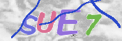 キャプチャ画像