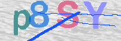 キャプチャ画像
