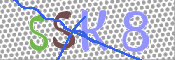 キャプチャ画像