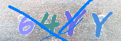 キャプチャ画像