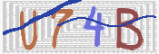 キャプチャ画像